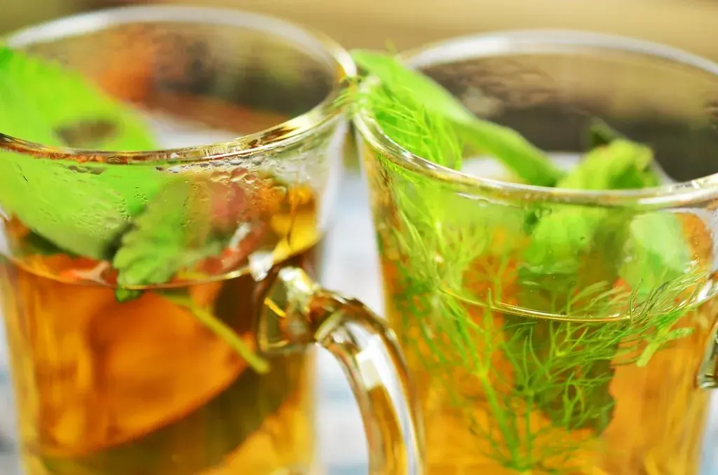 Two glasses of herbal tea with mint leaves and fennel fronds