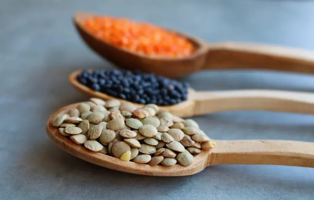 Lentil merah, hitam, dan hijau di atas tiga sendok kayu